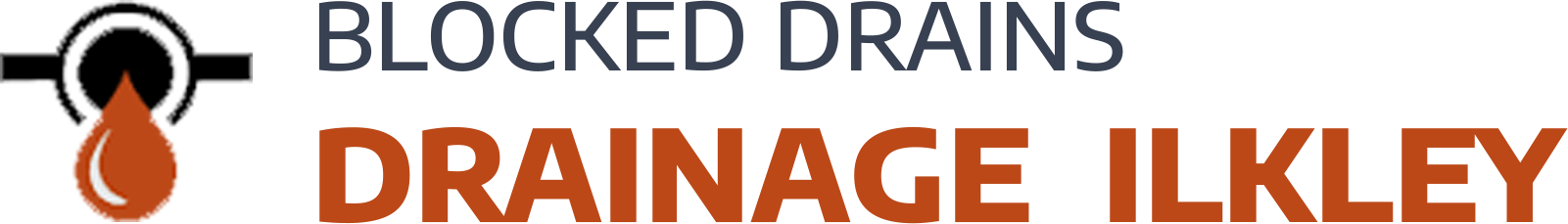 website logo
